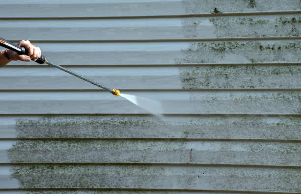 Best Gutter Cleaning  in Vandercook Lake, MI